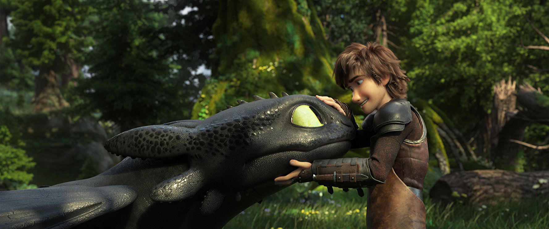 Toothless and Hiccup